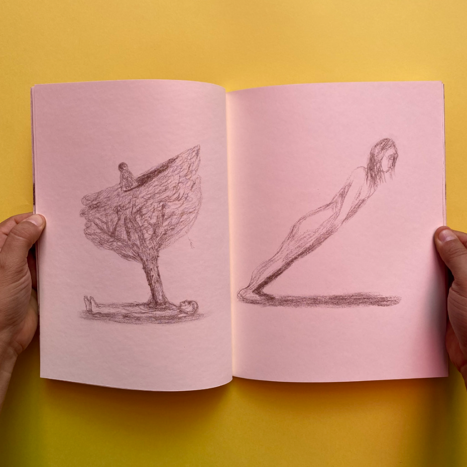 "SANGUINEAS" BY POLVOH PRESS